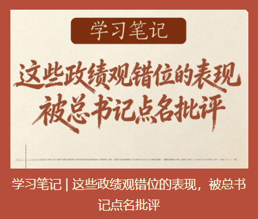 这些政绩观错位的表现，被总书记...